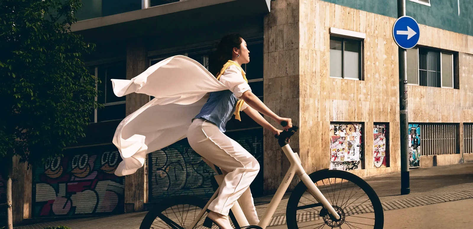 Urban Electric Bike Commerce